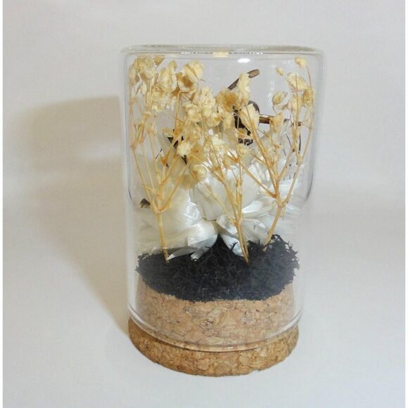 Hornet Wasp Nest Blowflies Cicada Wing Oddity Dome curiosity insect taxidermy - Picture 15 of 16